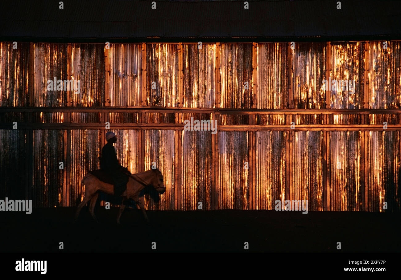 Mann auf einem Esel vor einer goldenen Wand Stockfoto