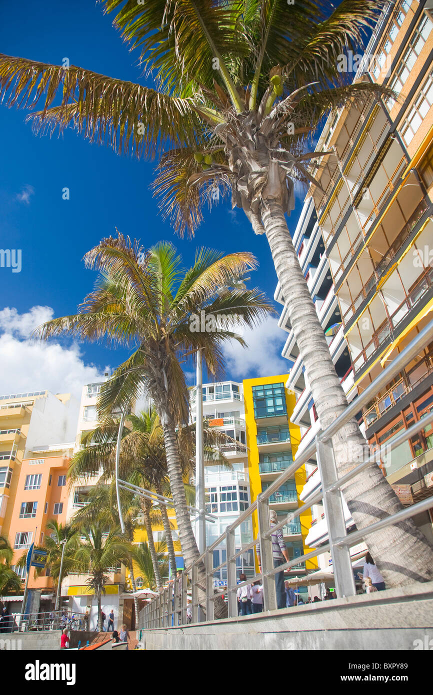 Blick auf den Las Canteras Strand in Las Palmas de Gran Canaria. Stockfoto