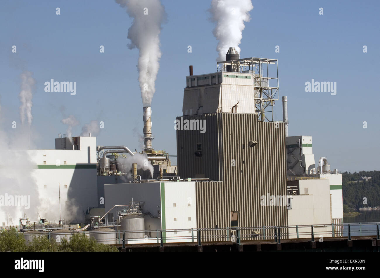 Papierfabrik in New Brunswick, Kanada Stockfoto