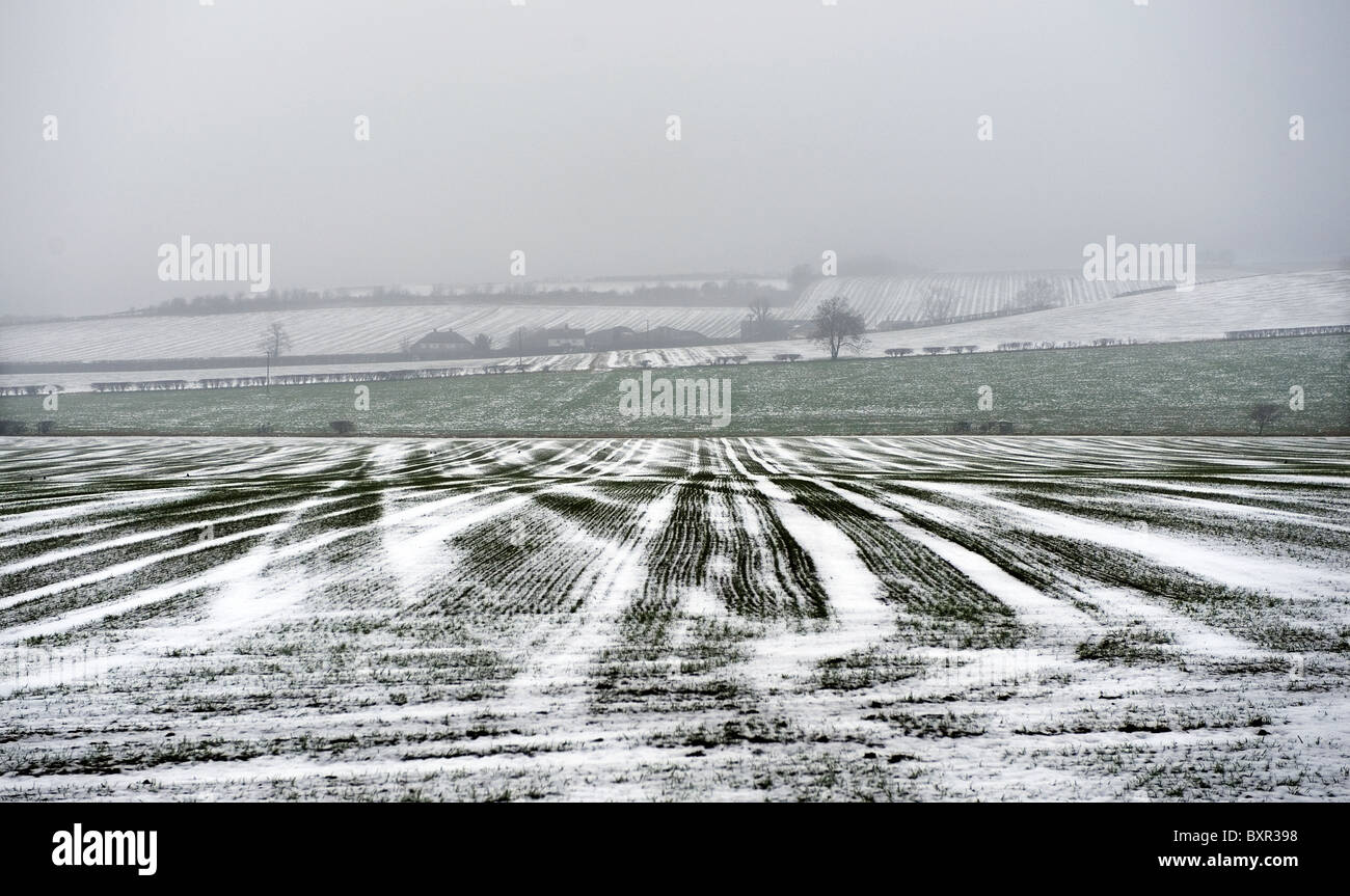 Schneebedeckte Felder in der Nähe von Saffron Walden, Essex, England, UK. Winter 2010 / 11. Stockfoto