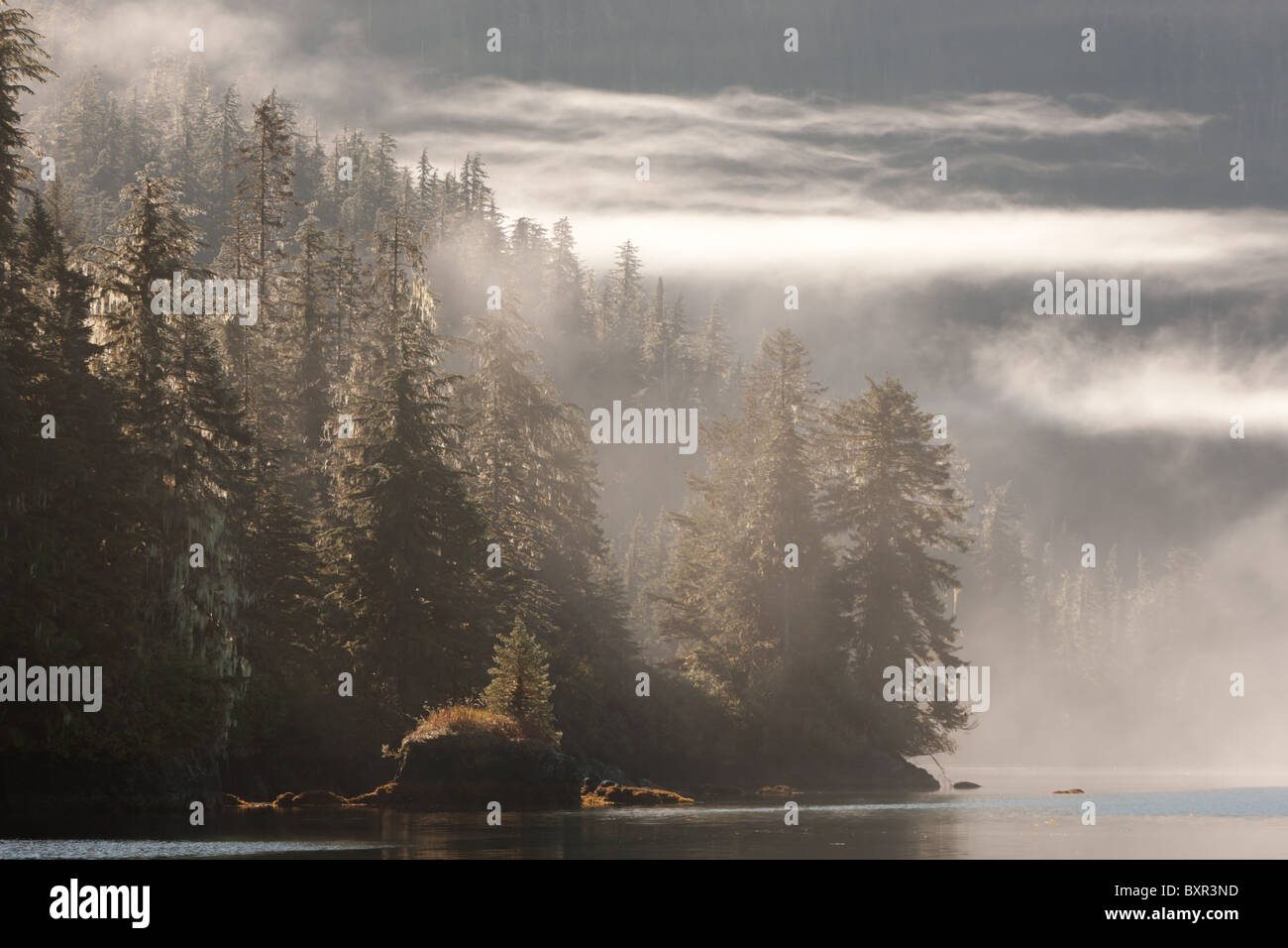 Nebel in den Prince William Sound, Alaska Stockfoto