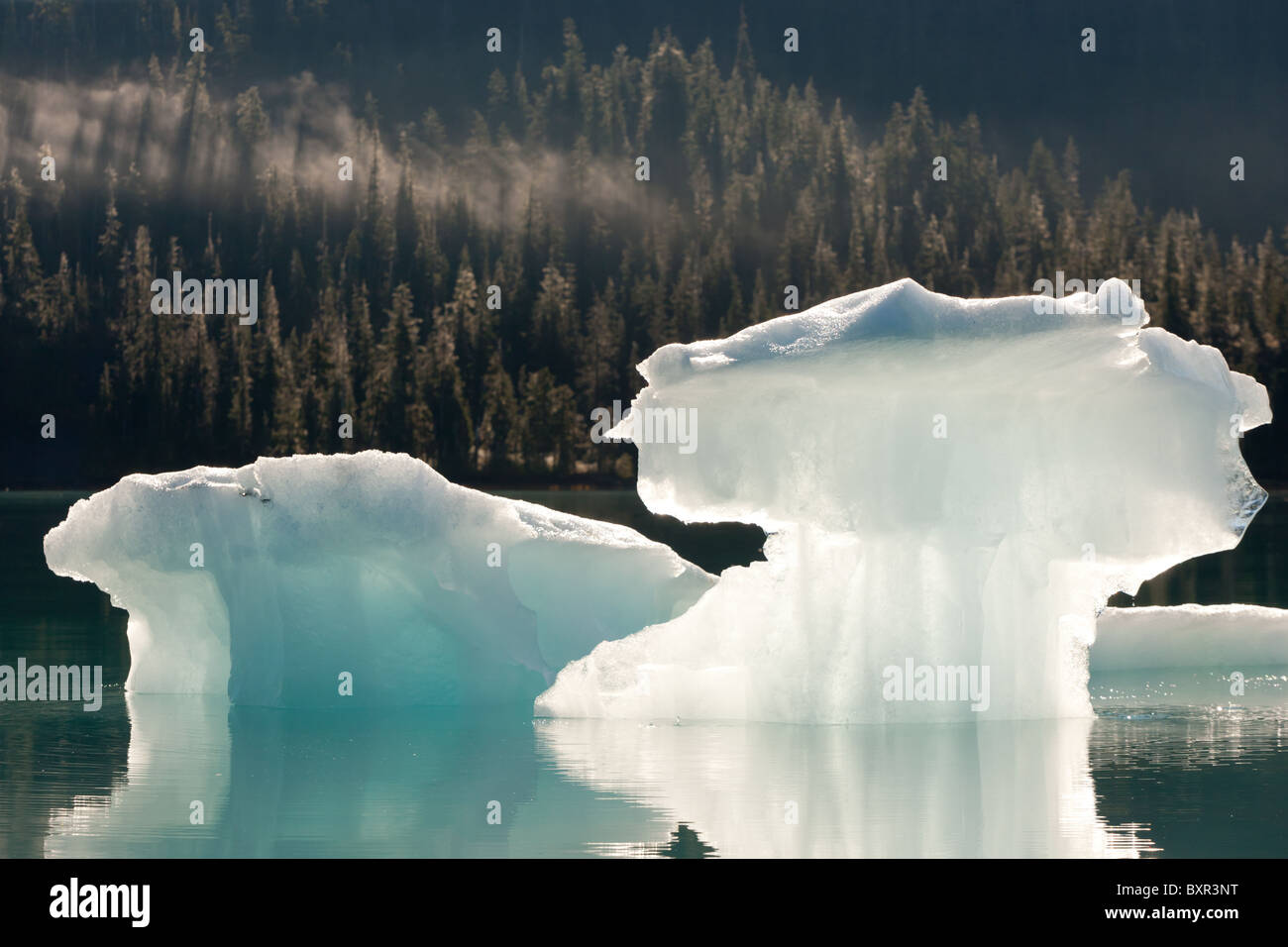 Eisberge, die von frühen Morgenlicht beleuchtet Stockfoto