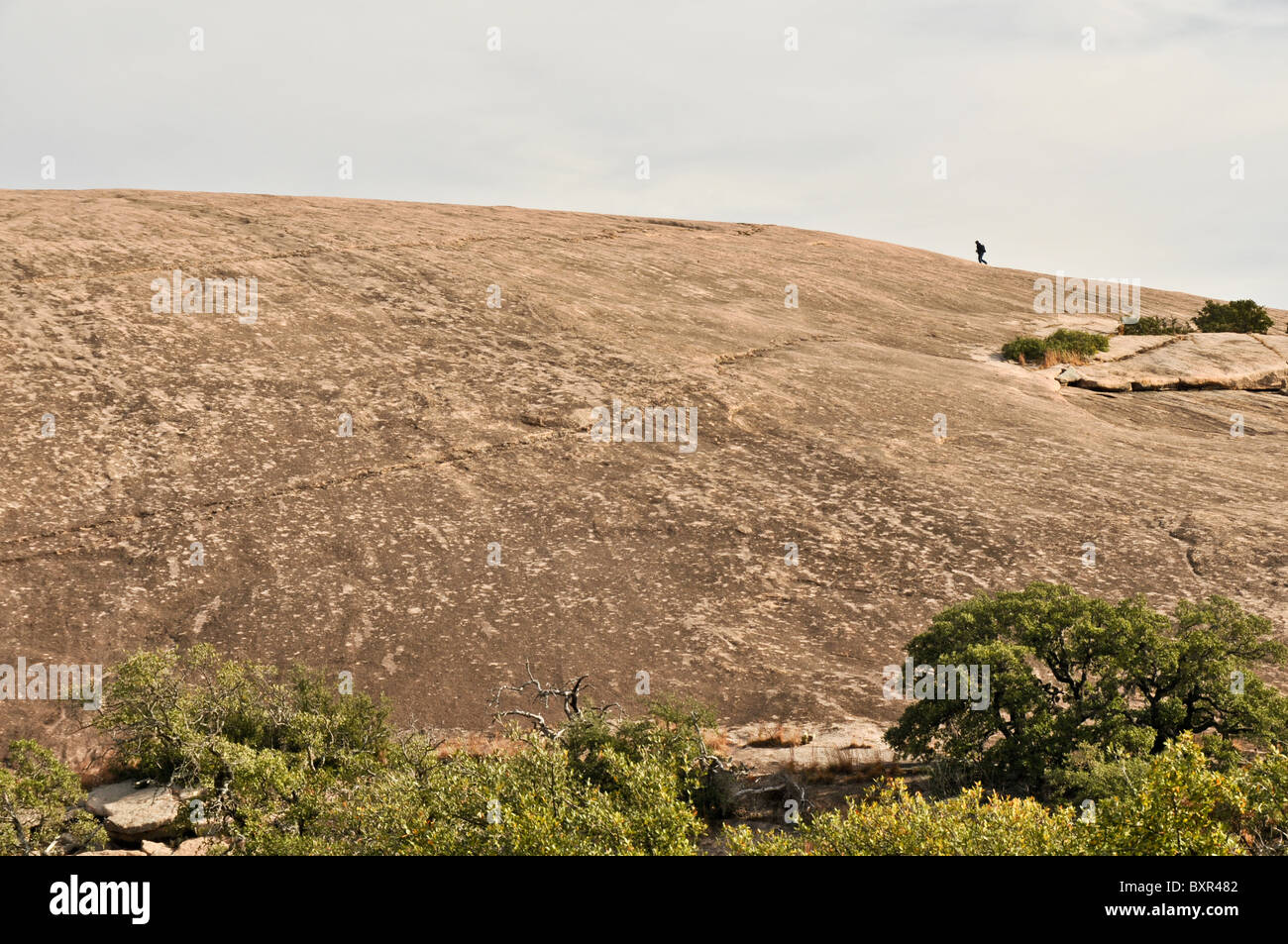 Mann in Distanz gehen auf große Granit Batholith, Enchanted Rock Naturraum, Fredericksburg, Texas Stockfoto