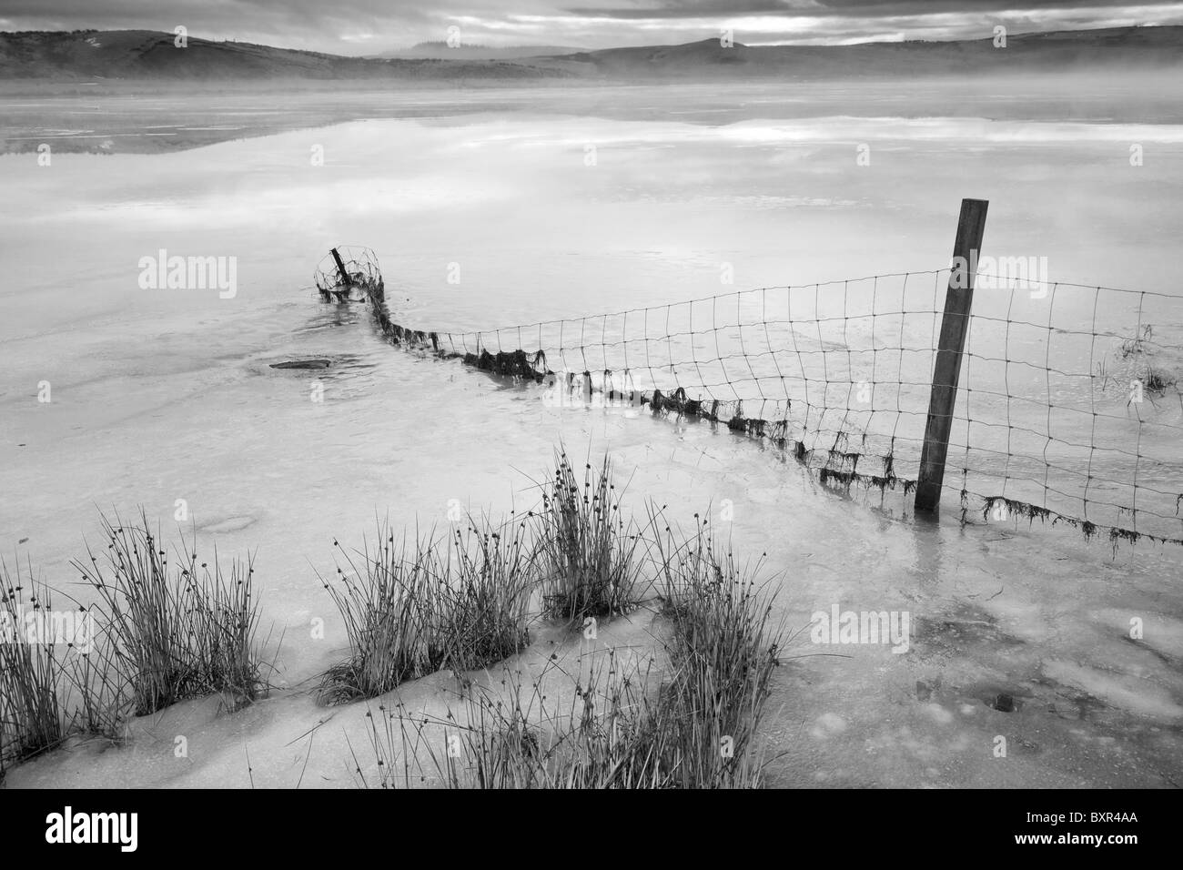 Gefrorene Loch am kleinen Stausee Eaglesham Moor, in der Nähe von Glasgow, Schottland Stockfoto