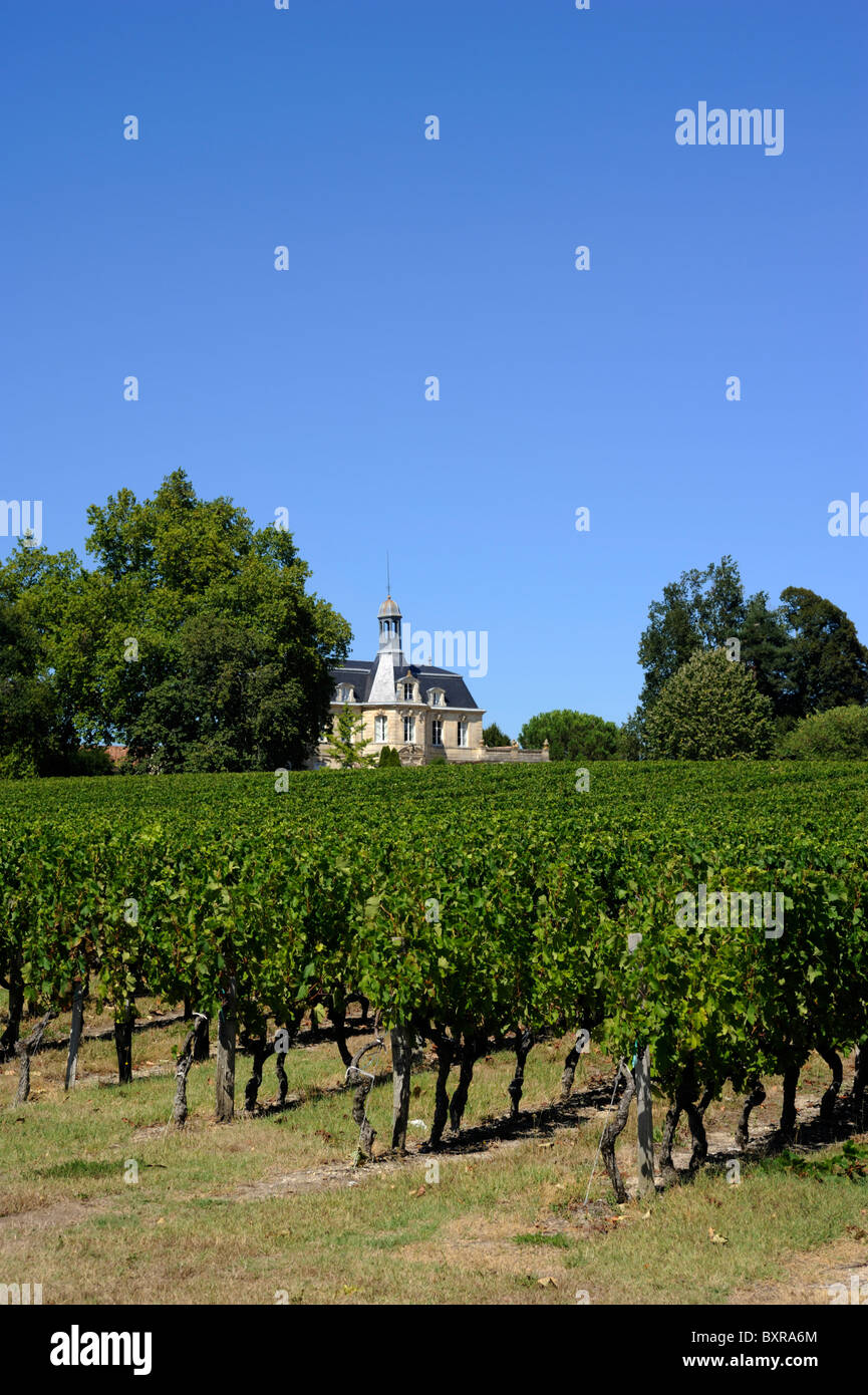 Frankreich, Bordeaux, Medoc Weinberge, Schloss fonreaud Stockfoto