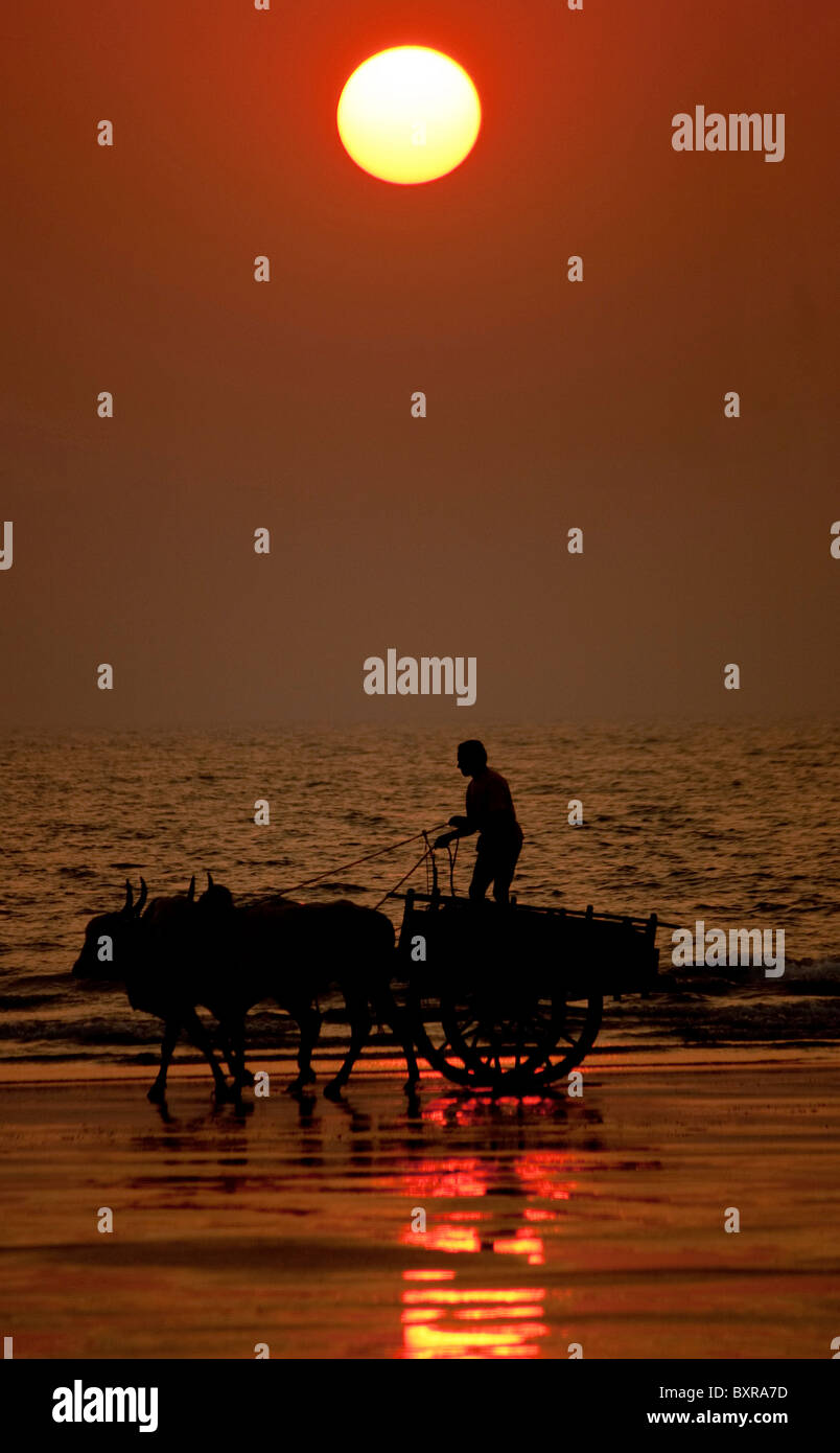 Sonnenuntergang am Anjarle Beach Kokan. Stockfoto