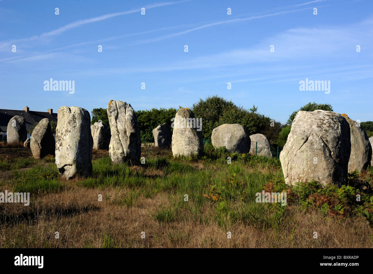 Frankreich, Bretagne, Morbihan, Carnac, Alignments du Menec Stockfoto