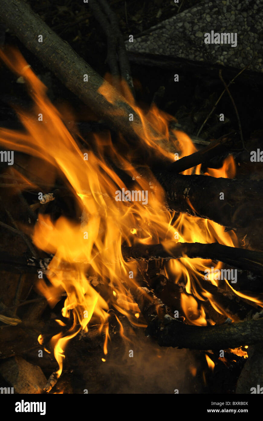 Holz-Feuer zum Kochen von Fleisch und Fisch vom Grill Stockfoto