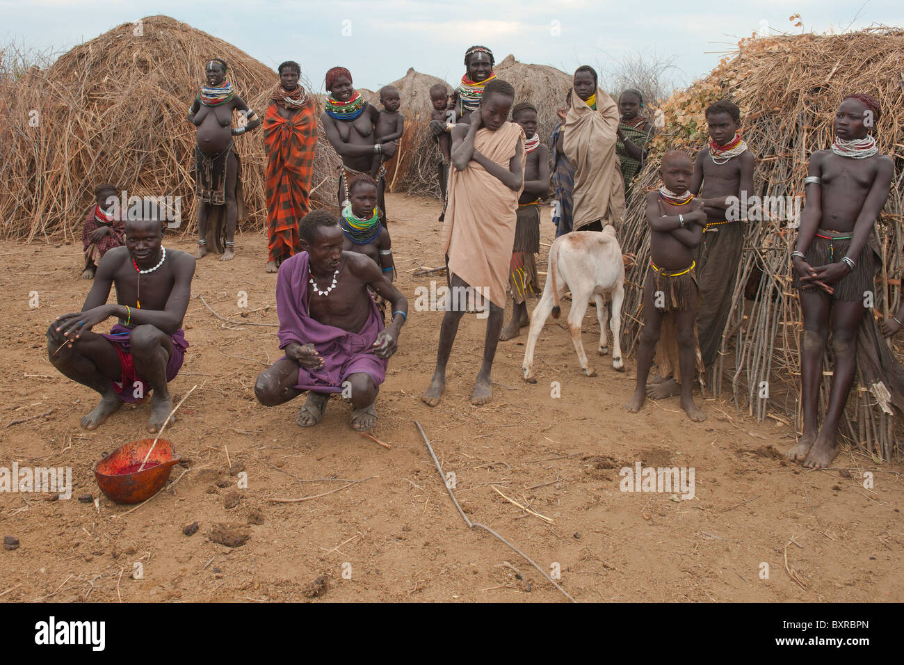Nyangatom (Bumi) Männer Teilen einer Kalebasse Kuh Blut, Omo-Tal, Äthiopien, Afrika Stockfoto