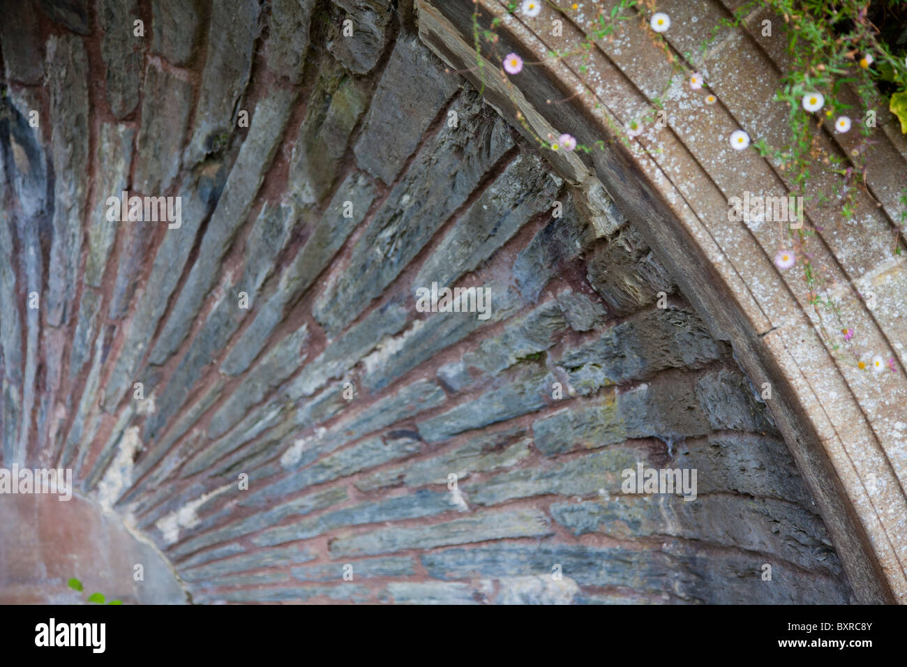 Gebogene Stein Detaillierung in einem Landschaftsgarten (Hestercombe Gärten, Somerset) Stockfoto