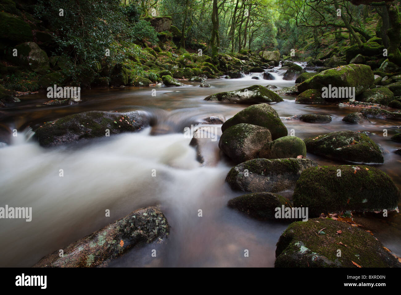 Ein Fluss fließt durch Grün, Moos bedeckt Granitfelsen, gedreht mit einer langen Belichtungszeit auf Dartmoor Stockfoto