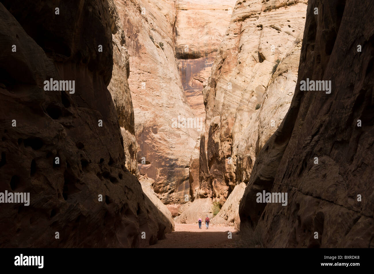 Wanderer in die Narrows-Grand Wash, Capitol Reef National Park, Utah Stockfoto