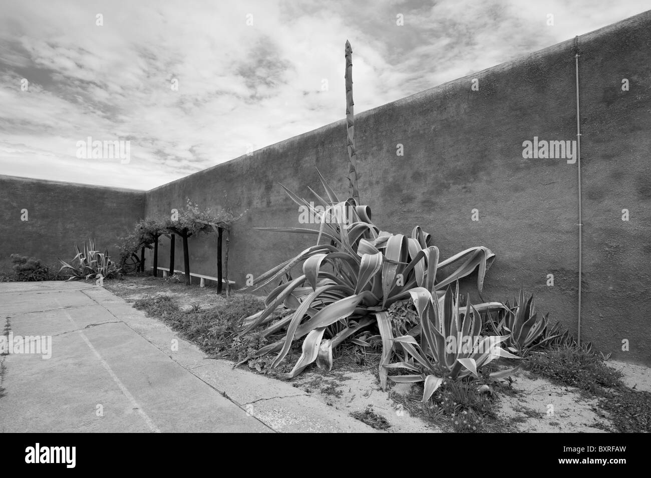 Übung Yard in Robben Island maximale Sicherheit Gefängnis wo politische Gefangene während der Apartheid Jahre gehalten wurden. Cape Town Stockfoto