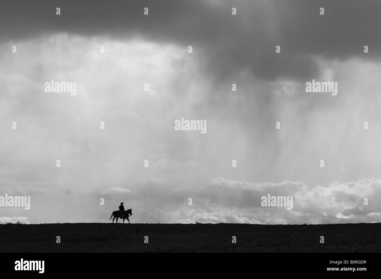 Silhouette von einem einsamen Pferd und Reiter unter einem großen Himmel Stockfoto