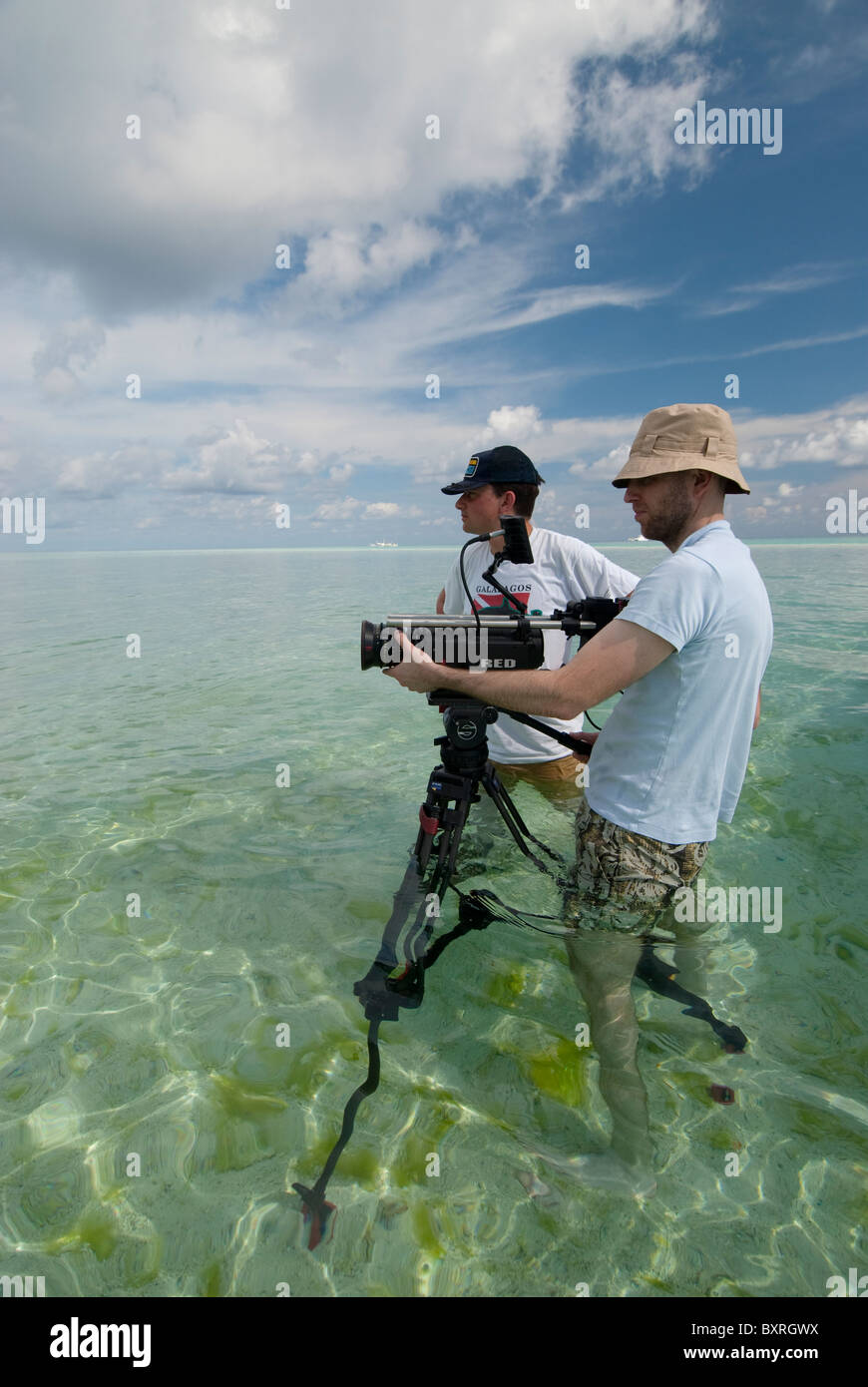 Mann filmt in Wasser flach genug stehen, Tubbataha, Palawan, Philippinen Stockfoto