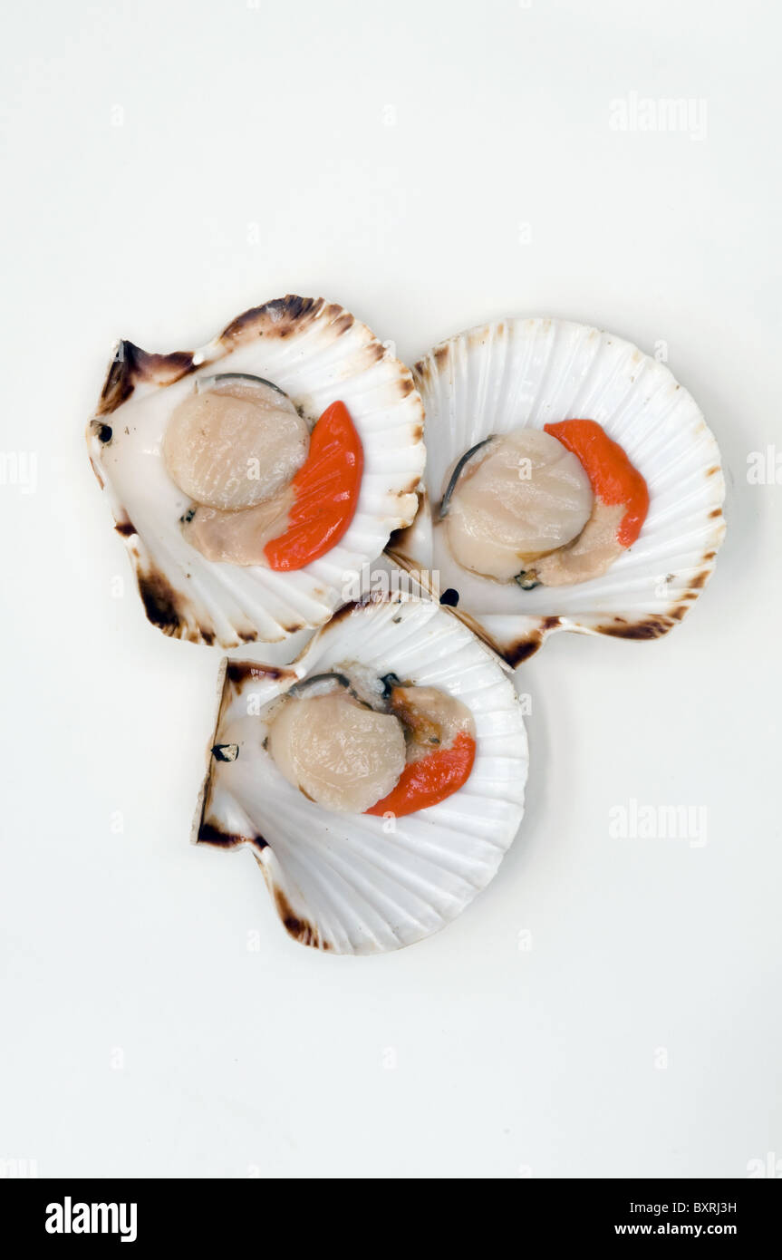 Drei Roh und geöffneten Jakobsmuscheln Stockfoto