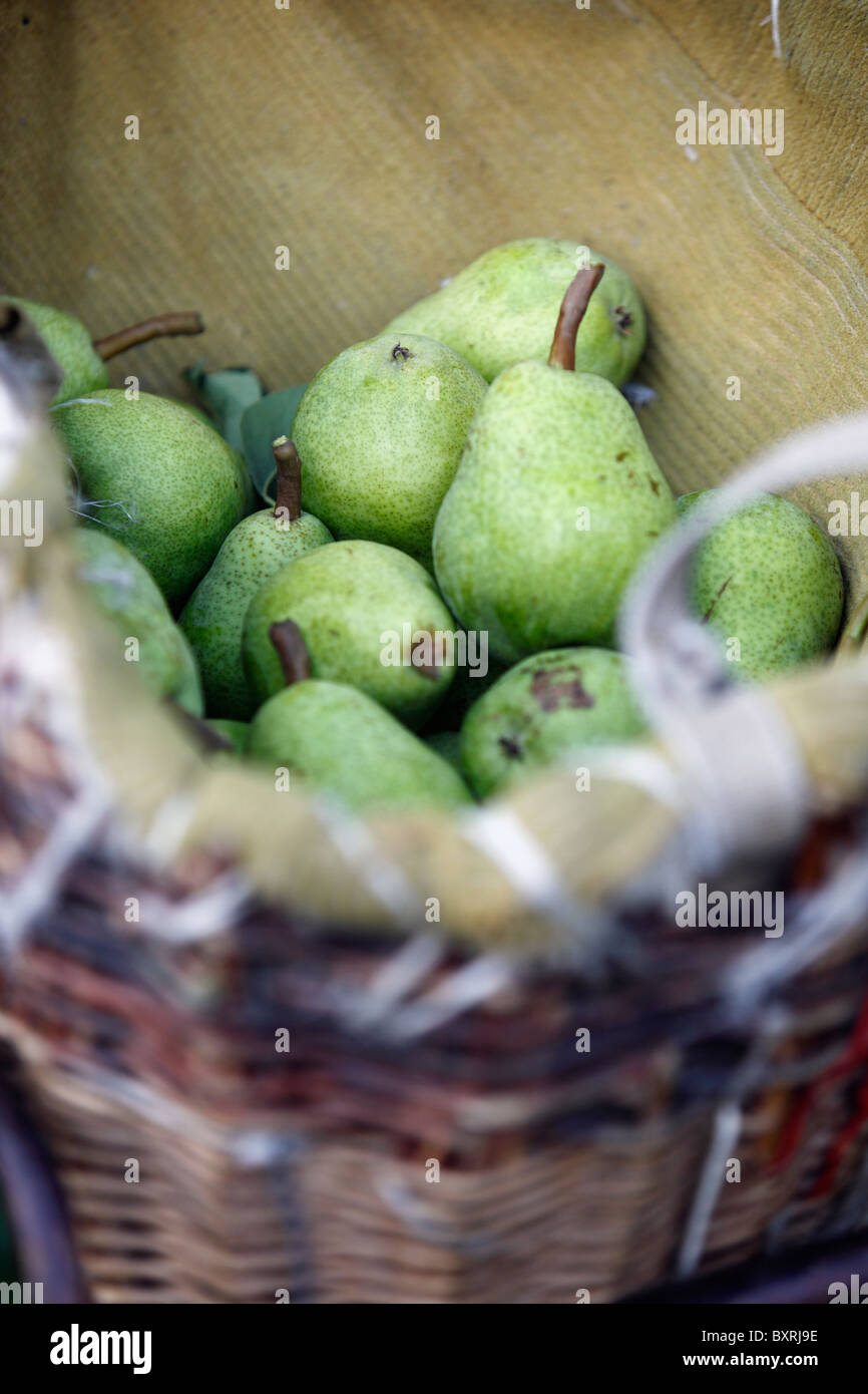 Birnen geerntet in den Obstgärten von Colline de mischt in Sierre, Schweiz Stockfoto