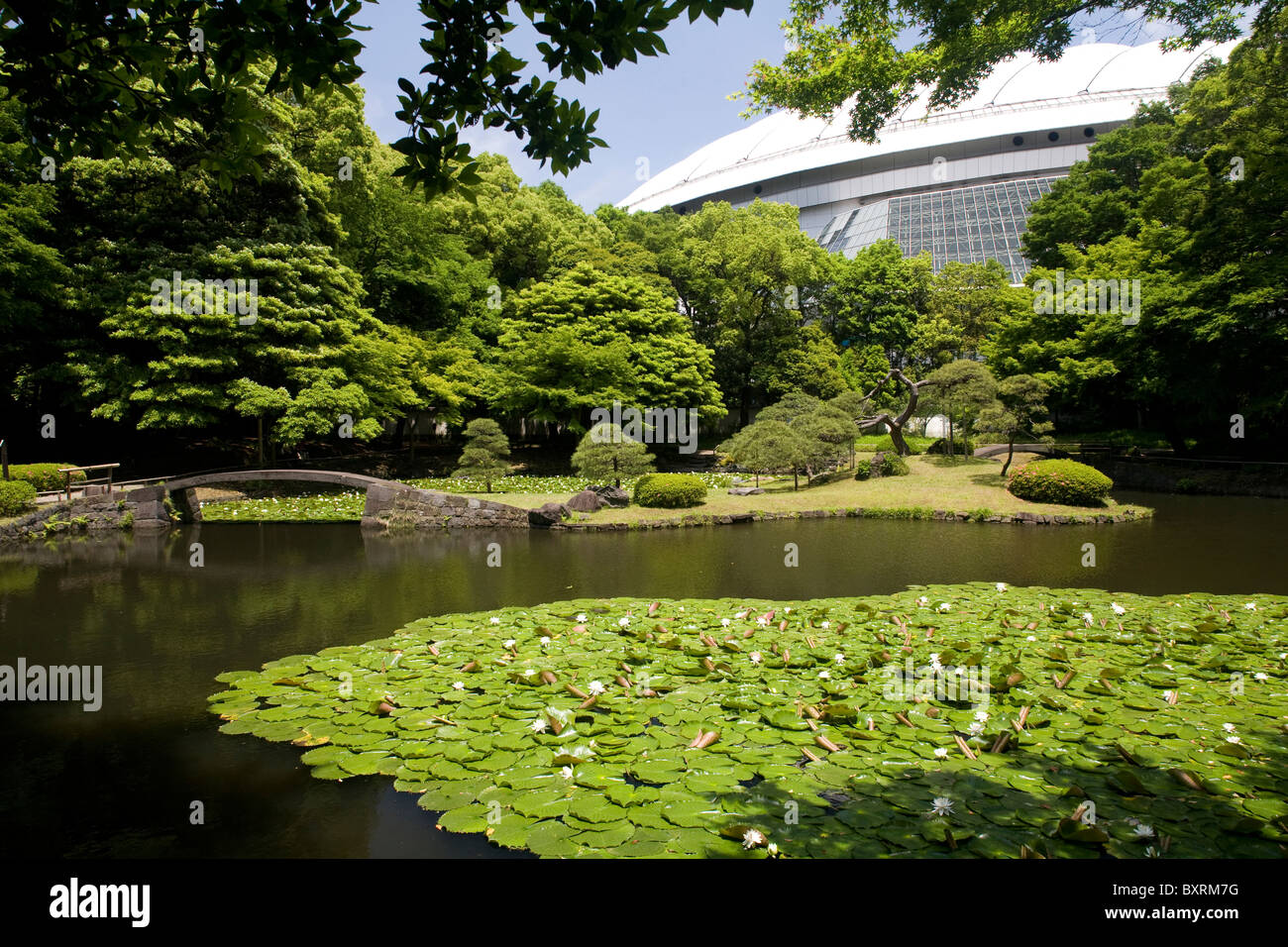 Asien, Honshu, Tokyo, Koraku, Bunkyo-Ku, Koishikawa Korakuen-Garten, Naitei - inneren Garten Stockfoto