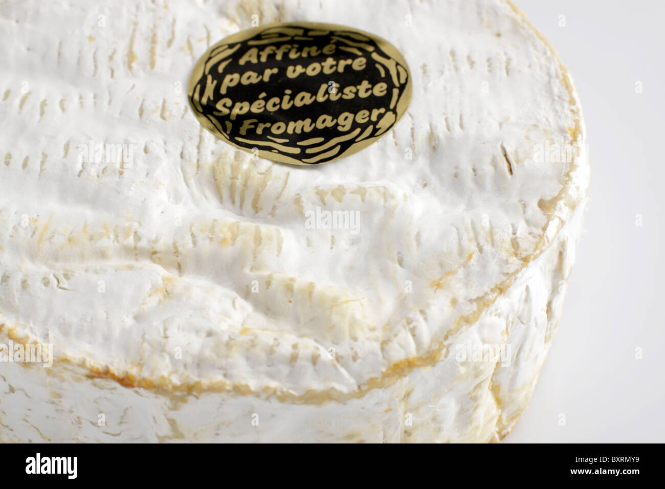 Camembert Käse, close-up Stockfoto