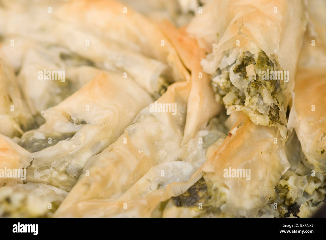 Traditionelle bulgarische Spinat Banitsa Filo-Teig - Kori gemacht Stockfoto