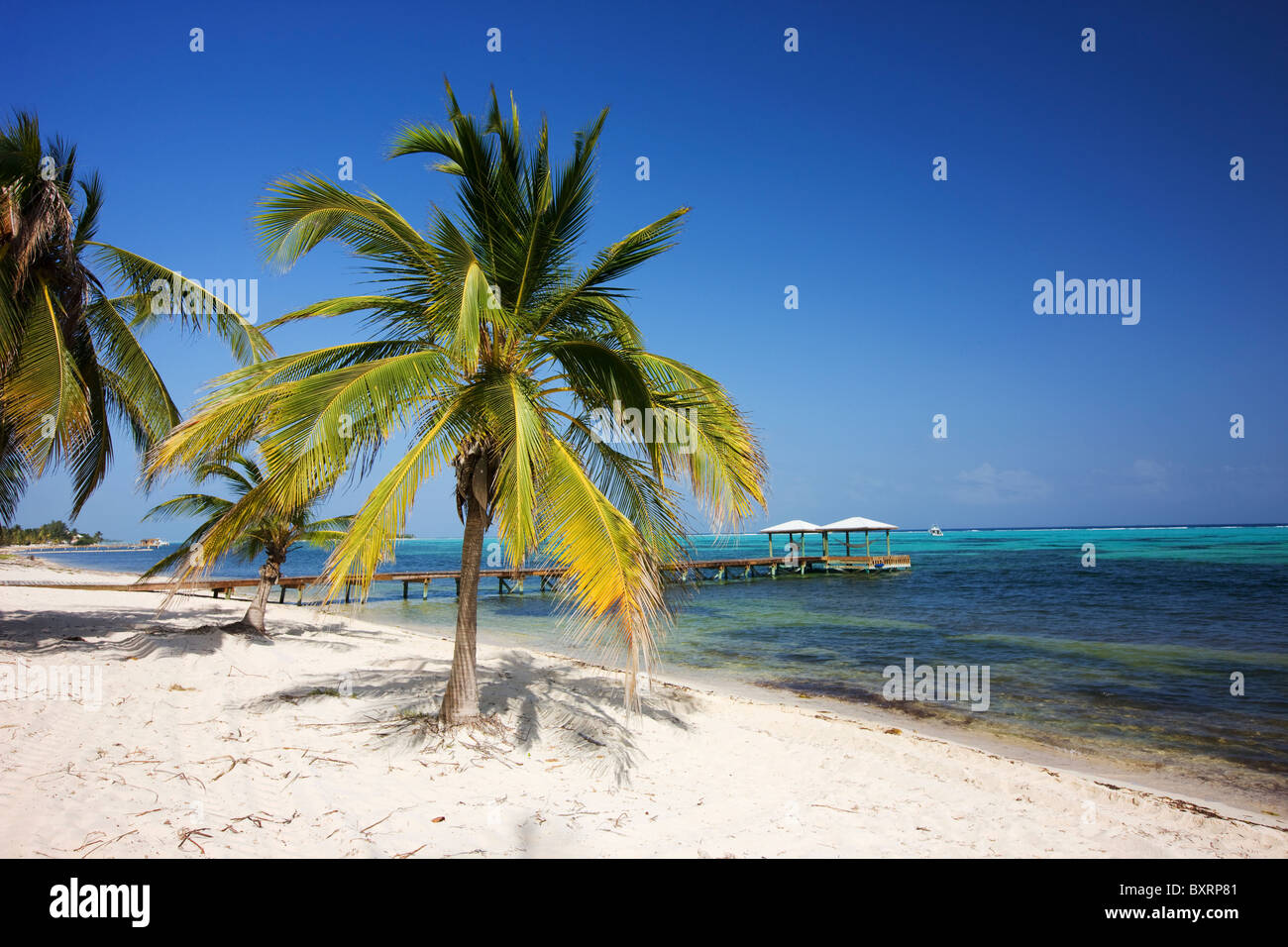 Cayman Inseln, Little Cayman, Little Cayman Beach Resort Stockfoto