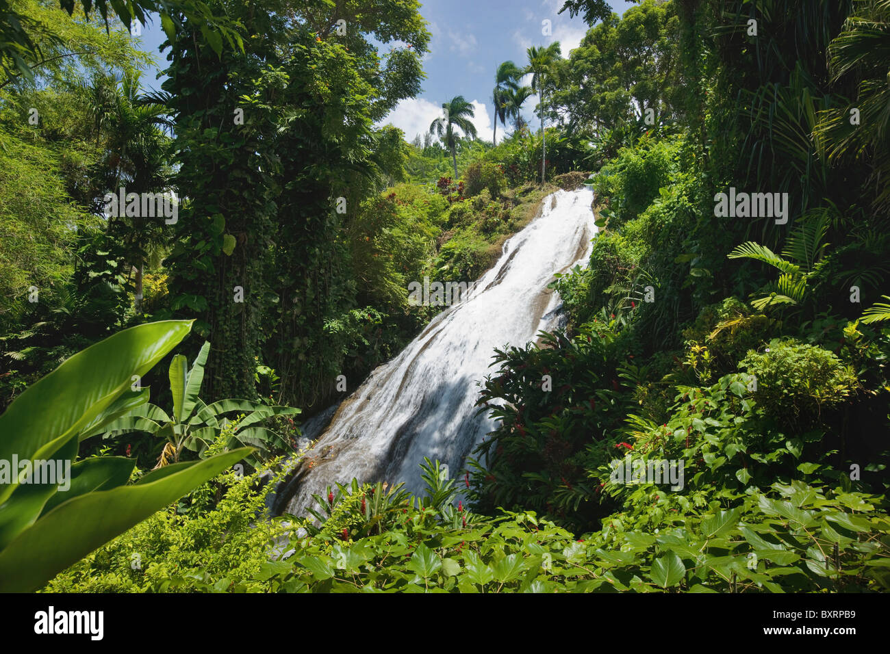 Jamaika, Ocho Rios, Shaw Park, Wasserfall im Botanischen Garten Stockfoto