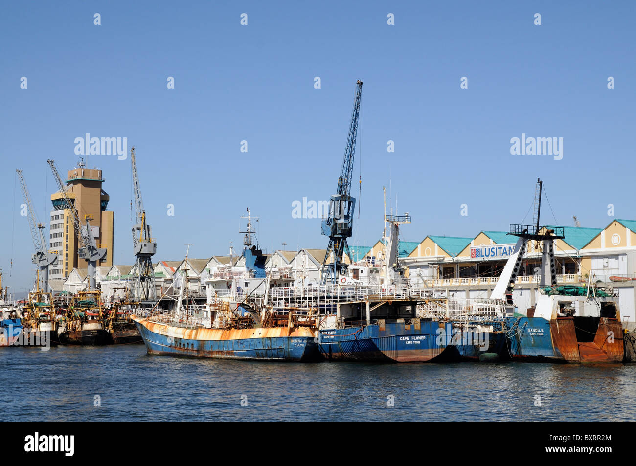 Hafen von Kapstadt Südafrika die kommerzielle Fischerei-Hafen Stockfoto