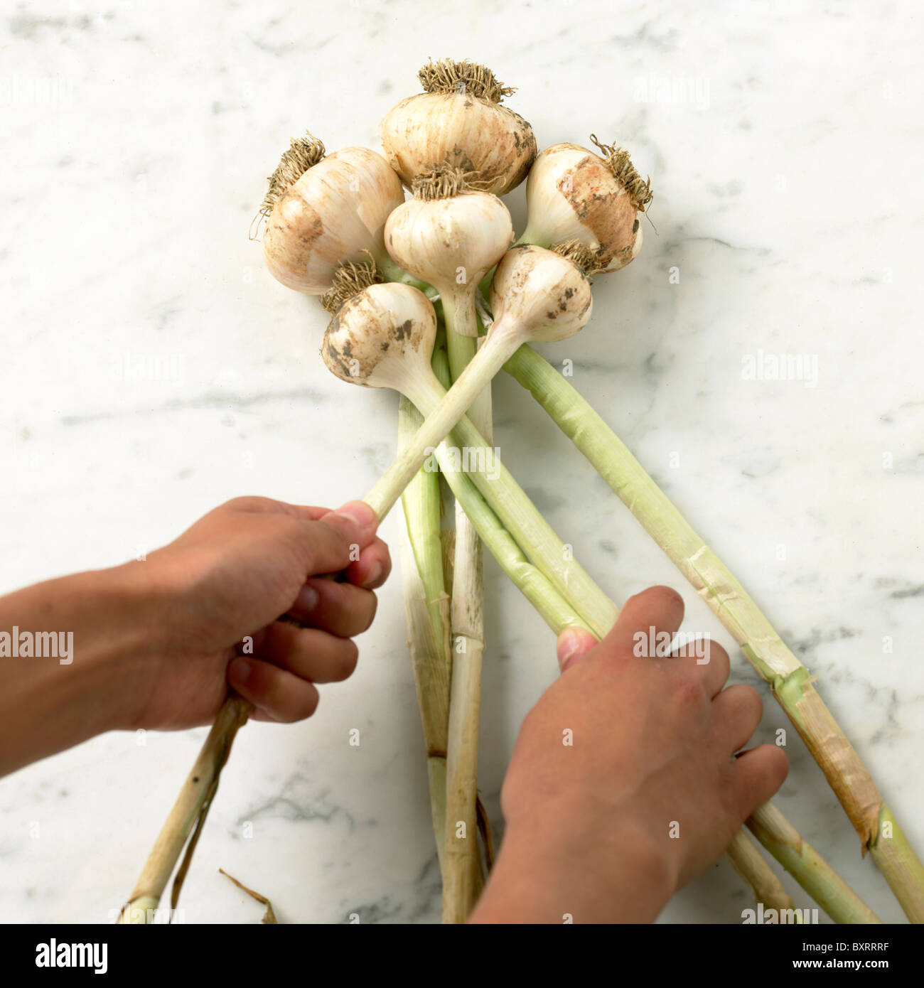 Flechten Knoblauch Zwiebeln Stockfotografie - Alamy