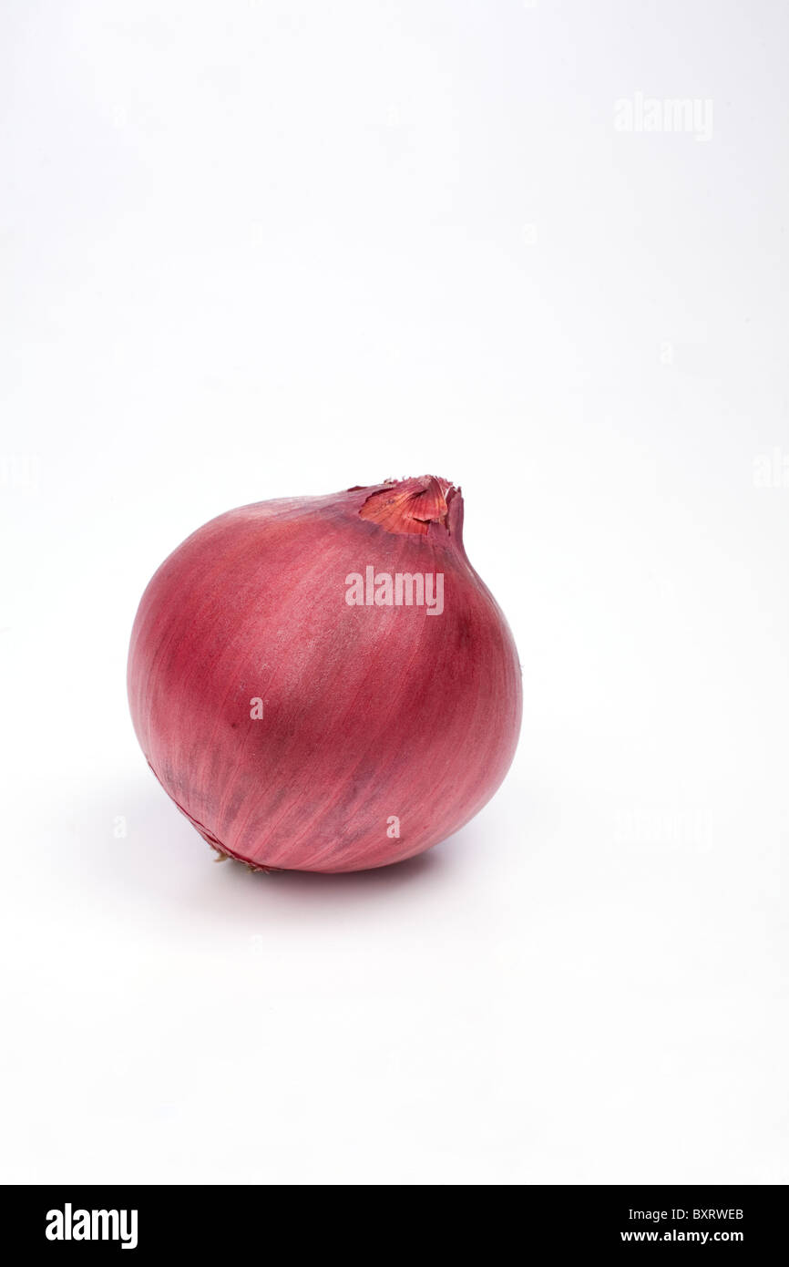 Süße rote Zwiebel auf weißem Hintergrund Stockfoto