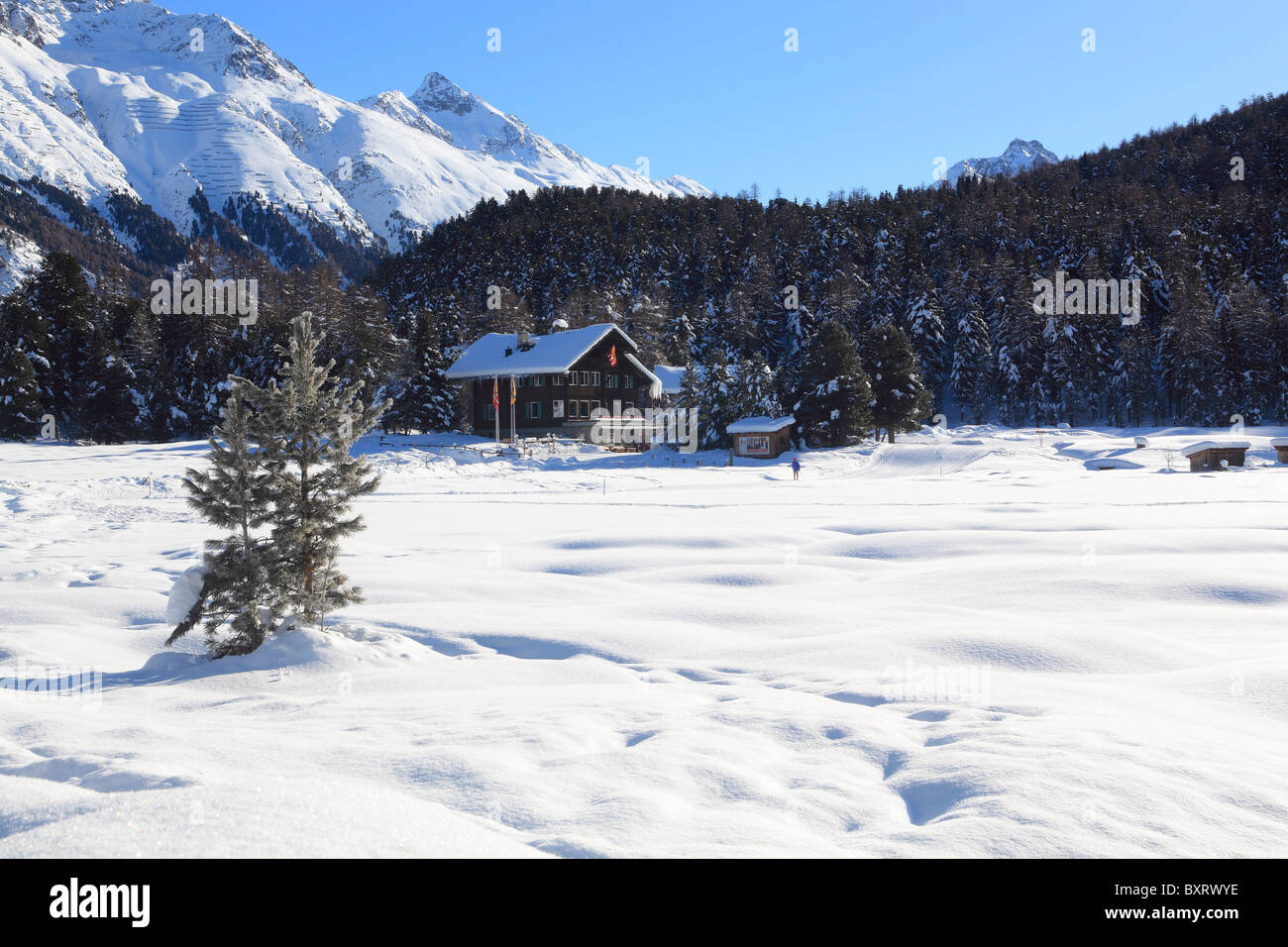 Haus im Pinienwald mit Schnee in der Nähe von di St. Moritz, Engadin, Kanton Graubünden, Schweiz, Europa Stockfoto