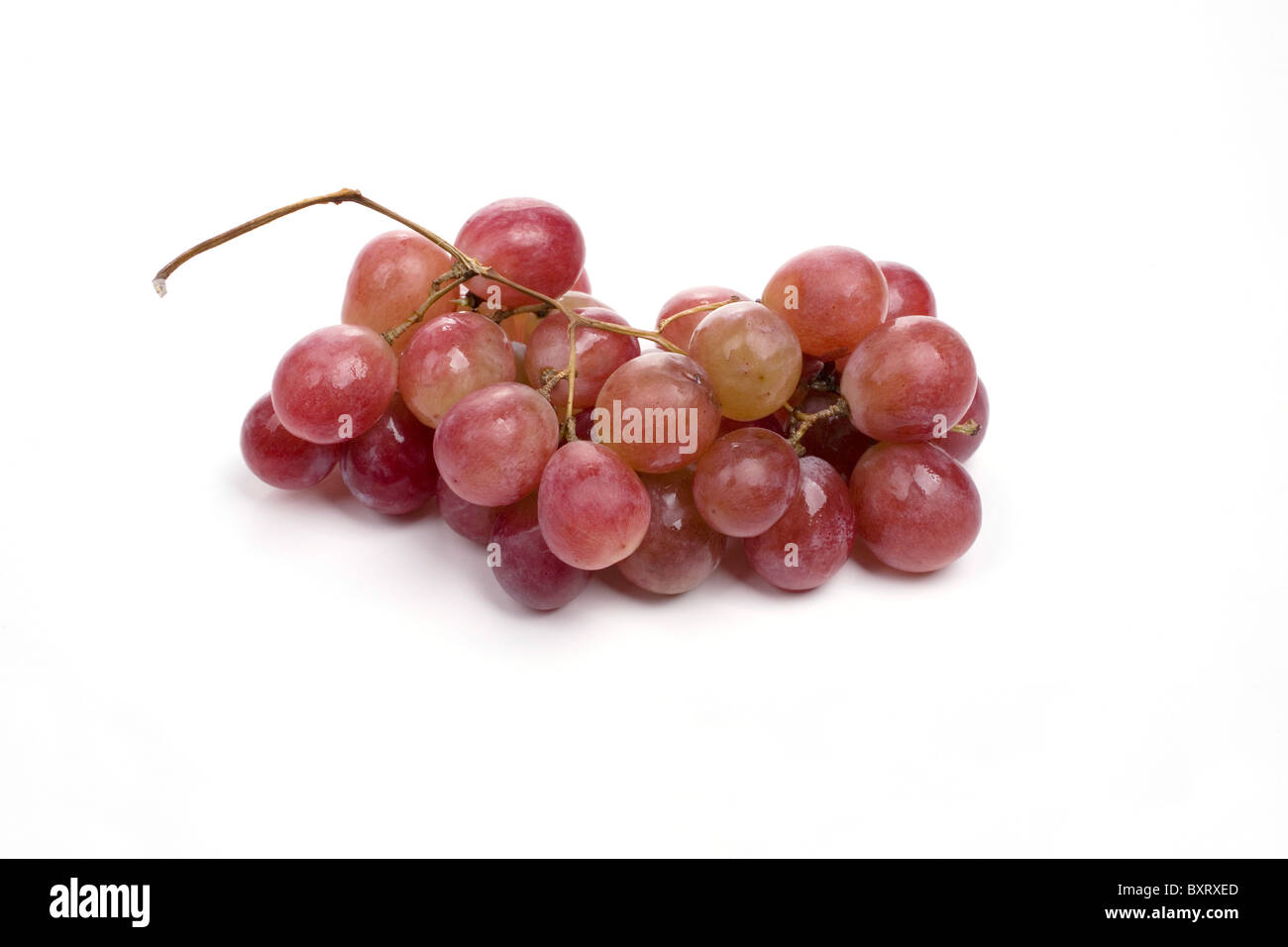 Rote Trauben Haufen auf weißem Hintergrund Stockfoto