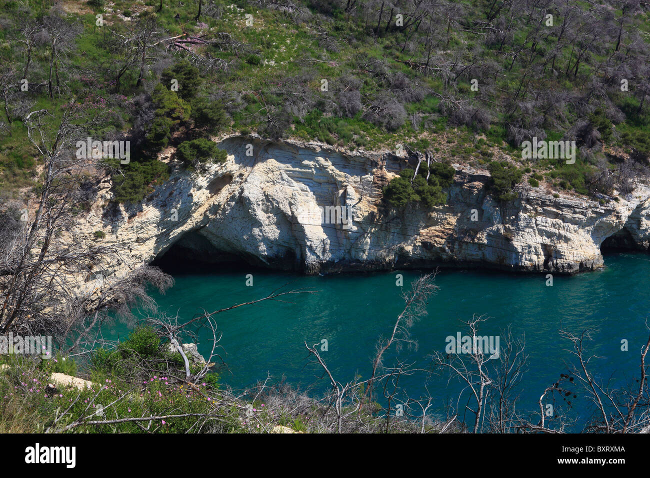 Höhle, Küste zwischen Mattinata und Vieste, Gargano Promontory Nationalpark Gargano, Apulien, Italien Stockfoto