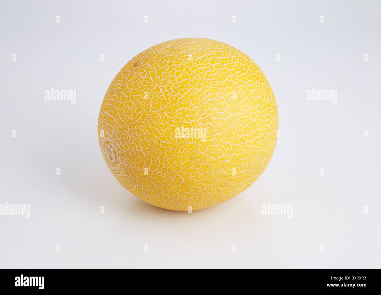 Galia Melone auf weißem Hintergrund Stockfoto