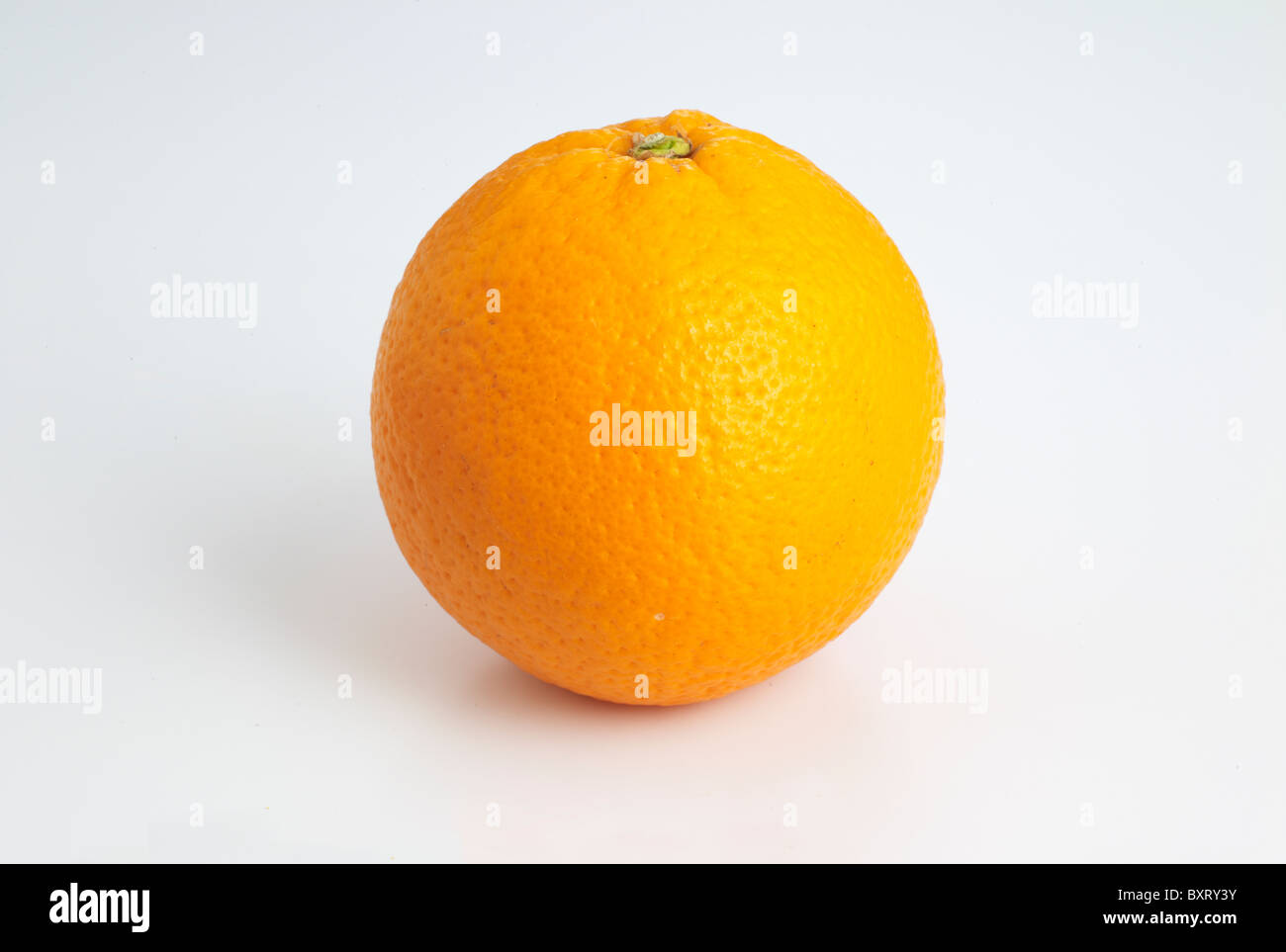Navel-Orange auf weißem Hintergrund Stockfoto