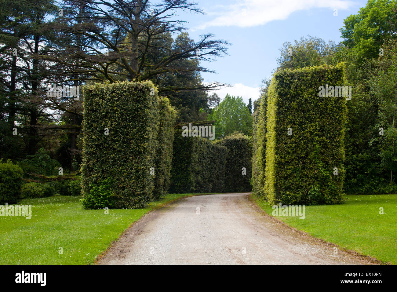 Florale Skulpturen, Villa Marlia, Capannori, Toskana, Italien Stockfoto