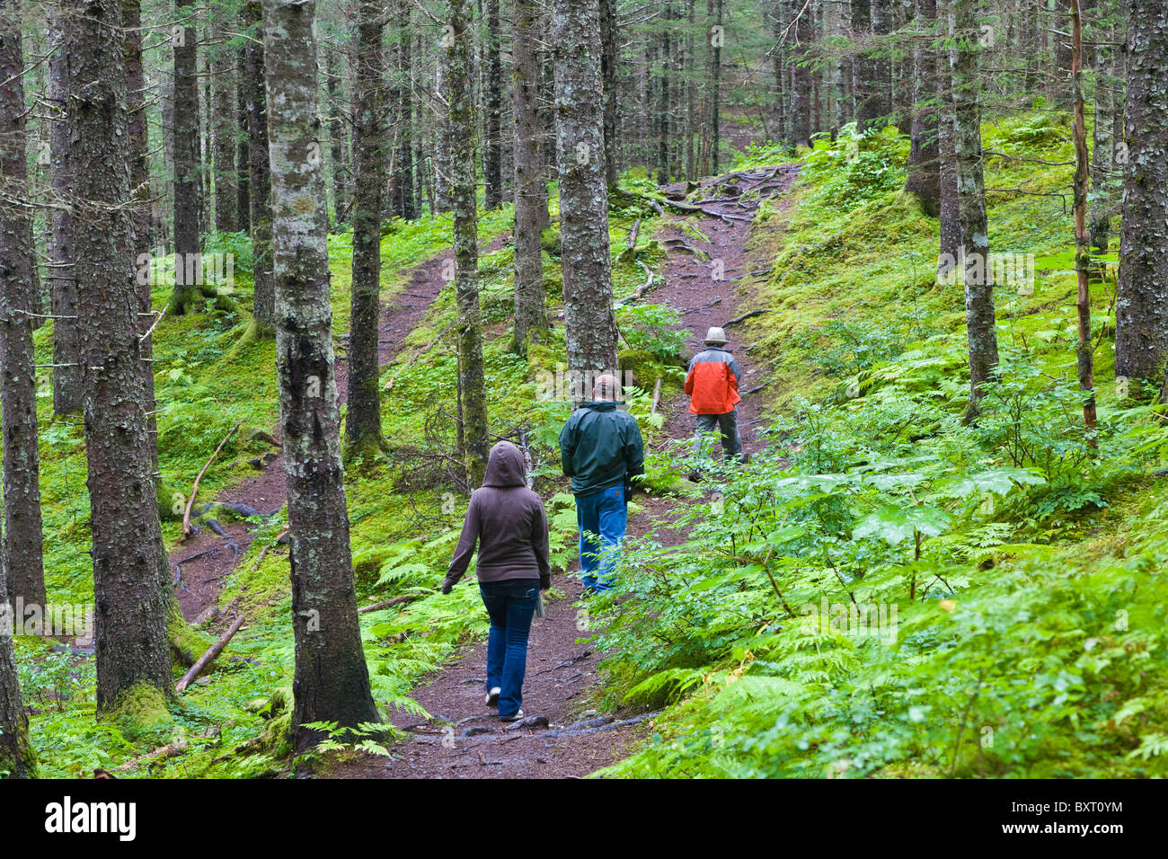 Menschen wandern in einem Regenwald Typ Wäldern in Seward Alaska Stockfoto