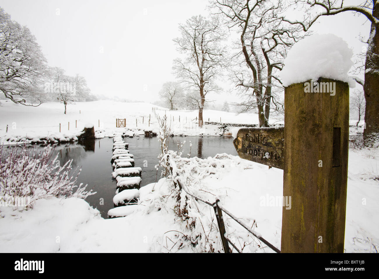 Trittsteine über den Fluß Rothay, unter Loughrigg, in der Nähe von Ambleside, Lake District, Großbritannien. Stockfoto