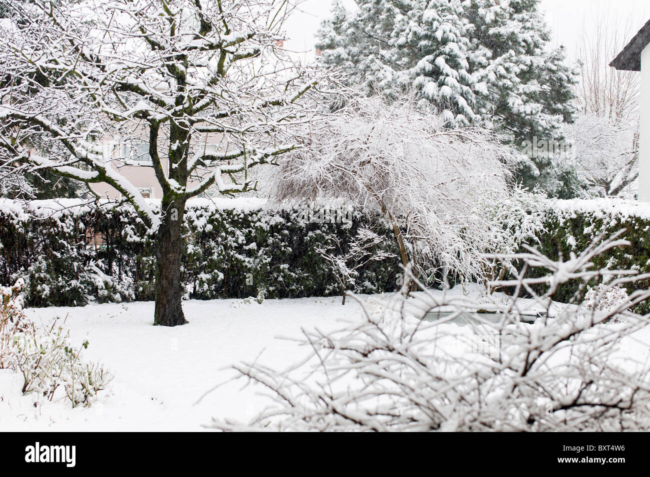 Garten bedeckt in Grötzingen Baden-Württemberg Deutschland Schnee Stockfoto