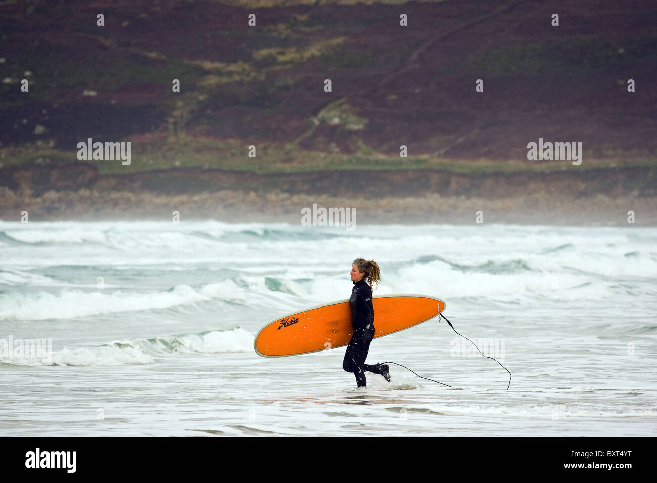 Eine Surferin läuft ins Meer bei Sennen in Cornwall. Stockfoto