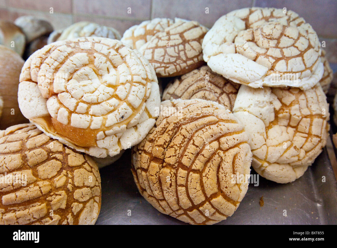 Conchas oder mexikanischen süßes Brot in einer Bäckerei in Coyoacán ...