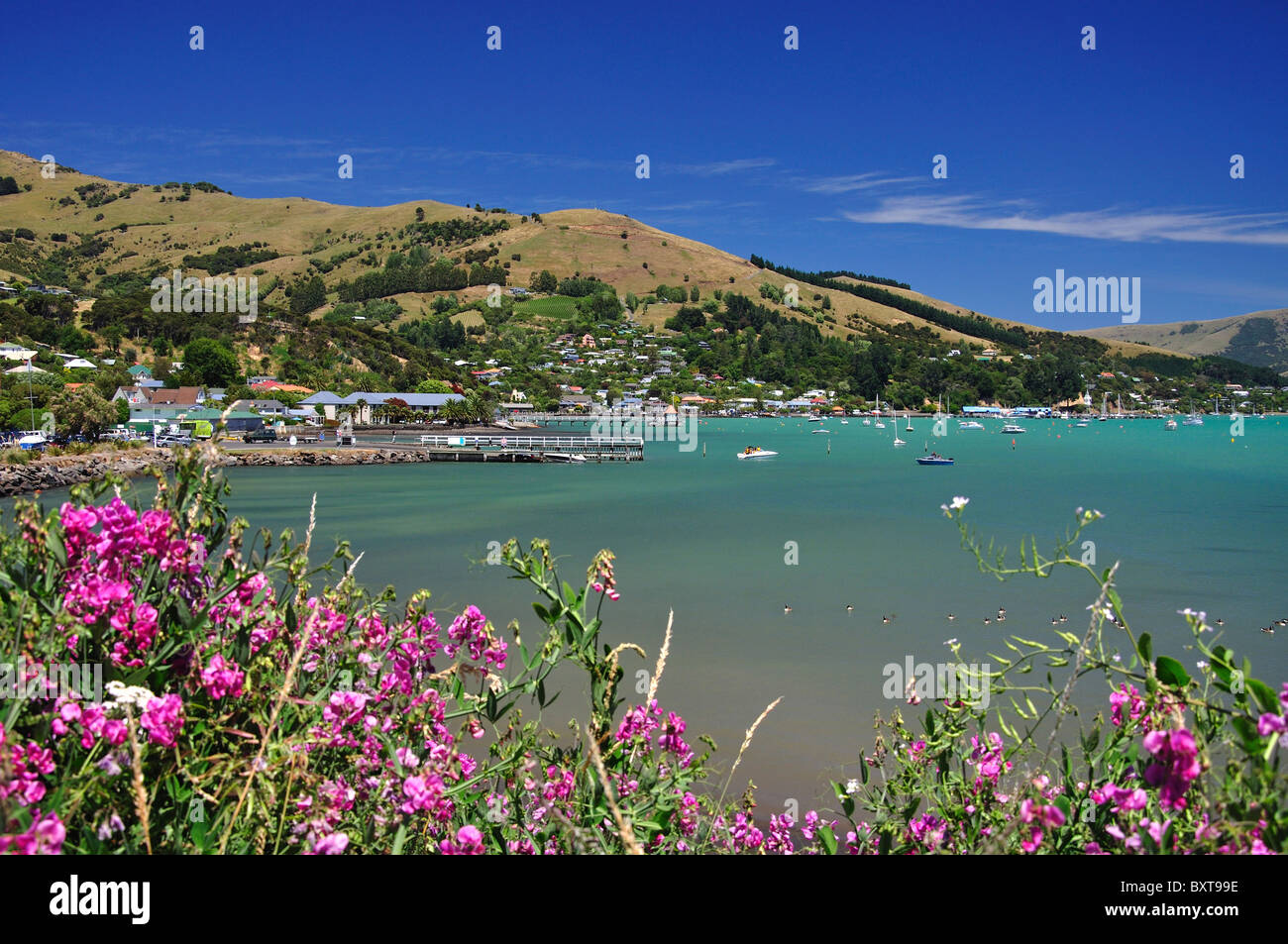 Akaroa Harbour, Akaroa, Banks Peninsula, Canterbury, Neuseeland Stockfoto