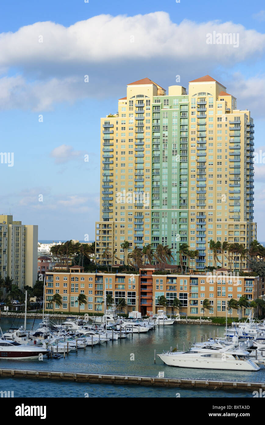 Skyline der Stadt von Miami, Florida am South Beach. Stockfoto