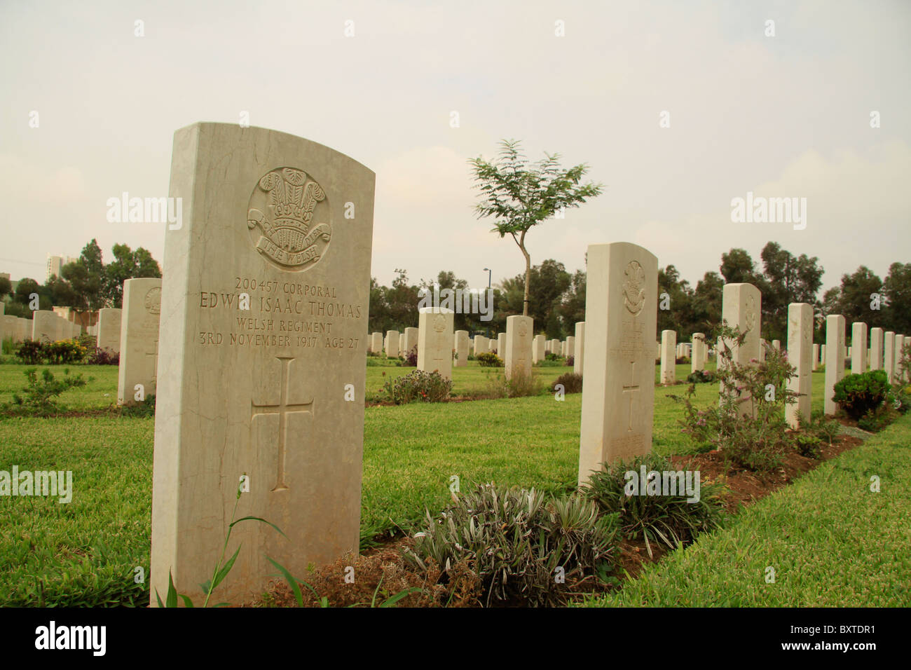 Israel, Negev, dem britischen Soldatenfriedhof in Beerscheba Stockfoto