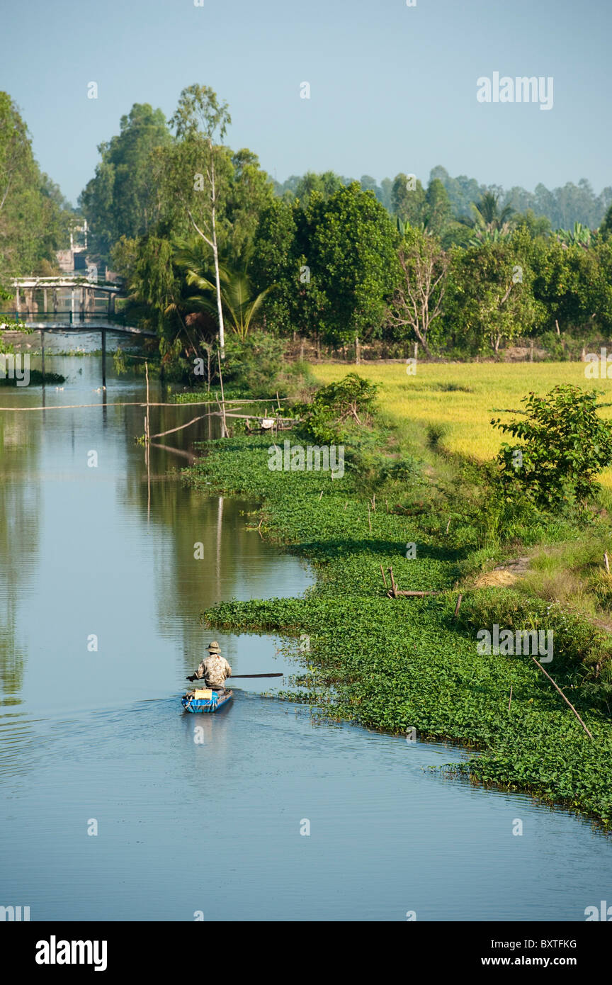 Kanu auf dem Fluss zwischen den Reisfeldern, Mekong-Delta, Chau Doc, Vietnam Stockfoto