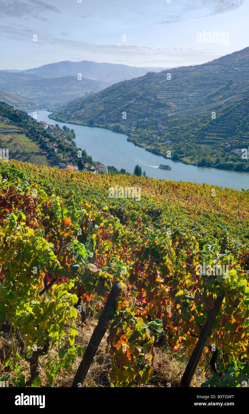 Portugal, Alto Douro, Douro Tal, Mesao Frio in der Nähe von Regua Stockfoto