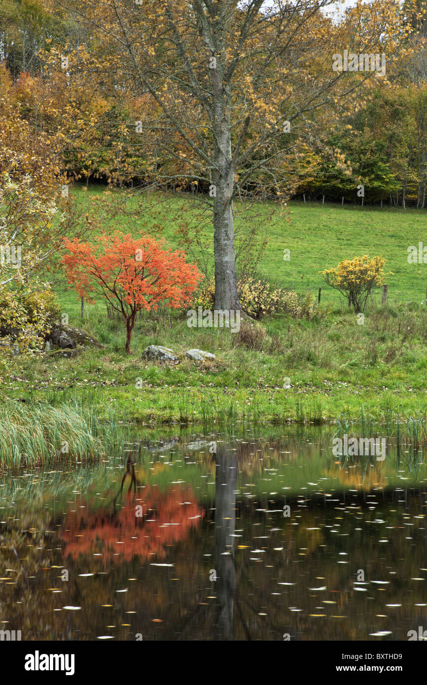 Malerischen Herbst Blick auf einen Fluss in Schottland. Stockfoto