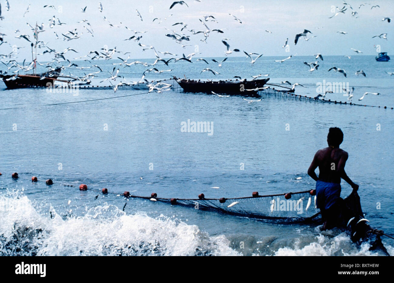 Fischer sammeln Netze am Strand Stockfoto