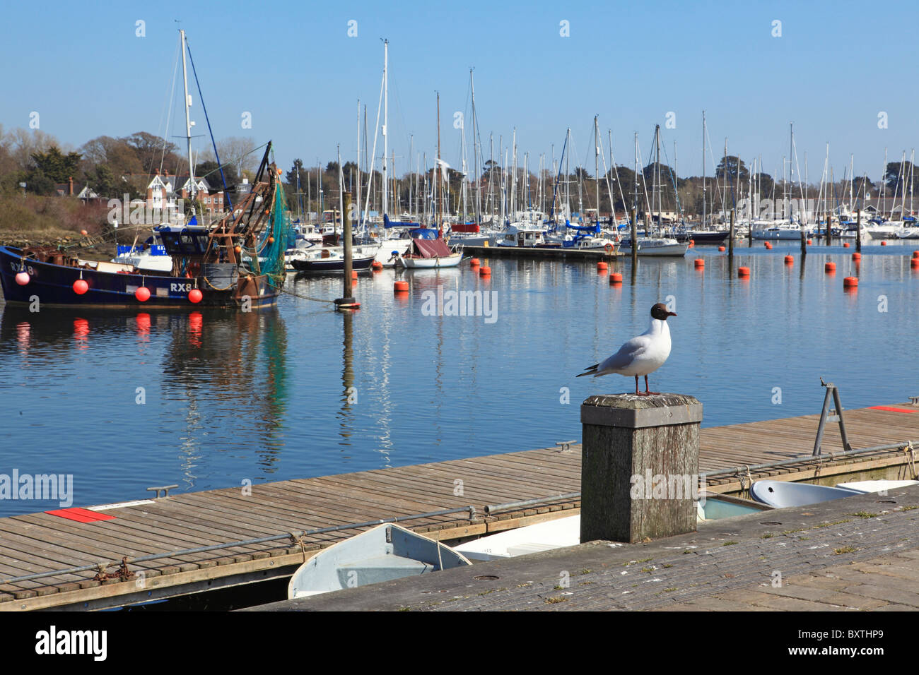 Hampshire, New Forest, Lymington, Hafen Stockfoto