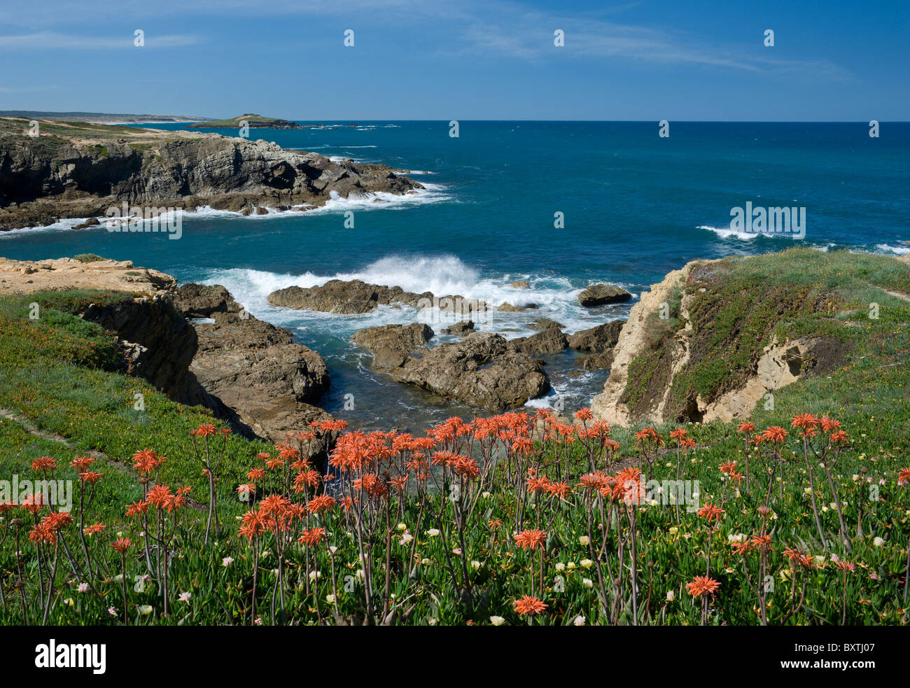 Portugal, Alentejo Küste, Küste bei Porto Covo Stockfoto