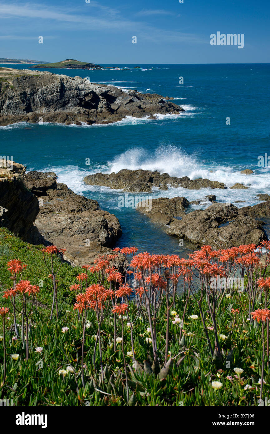 Portugal, Alentejo Küste, Küste bei Porto Covo Stockfoto